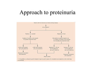 Approach to proteinuria 