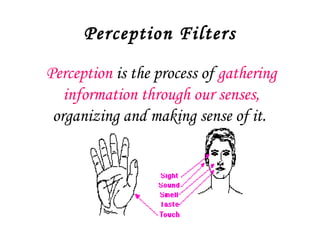 Perception Filters

Perception is the process of gathering
   information through our senses,
 organizing and making sense of it.
 