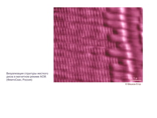 Визуализация структуры жесткого диска в магнитном режиме АСМ. (ФемтоСкан, Россия) © Мешков Егор 1  μ 