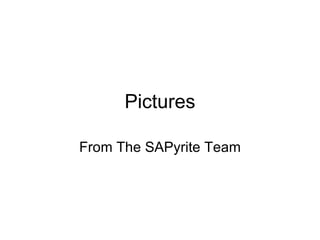 Pictures From The SAPyrite Team 