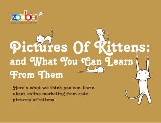 Pictures Of Kittens:
and What You Can Learn
From Them
Here’s what we think you can learn
about online marketing from cute
pictures of kittens
 