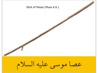 Stick of Moses (Musa A.S.)