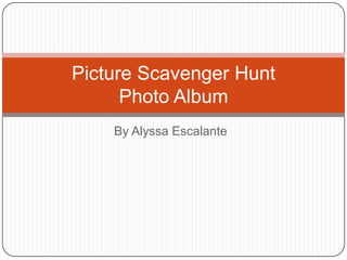 Picture Scavenger Hunt
      Photo Album
    By Alyssa Escalante
 