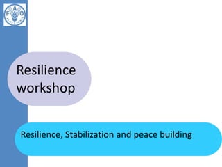 Resilience, Stabilization and peace building
Resilience
workshop
 