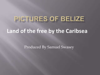Land of the free by the Caribsea

      Produced By Samuel Swasey
 