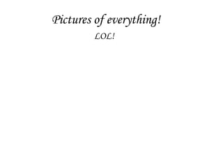 Pictures of everything! LOL! 