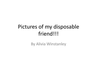 Pictures of my disposable
         friend!!!
     By Alivia Winstanley
 