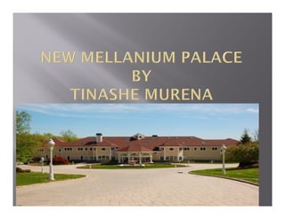 Pictures of new mellanium palace