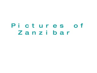 Pictures of Zanzibar  