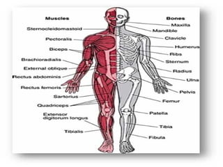 Pictures relating to pdhpe