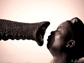 Pictures speak for themselves