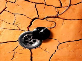 Pictures speak for themselves