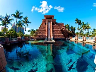 Pictures speak for themselves