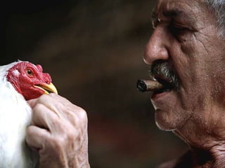 Pictures speak for themselves