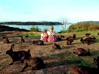 Pictures speak for themselves