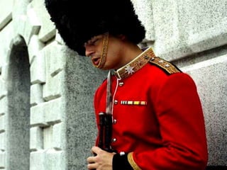 Pictures speak for themselves