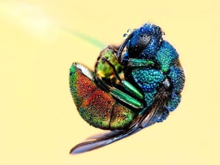 Pictures speak for themselves