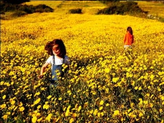 Pictures speak for themselves