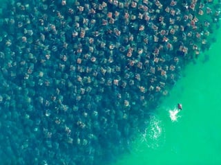 Pictures speak for themselves