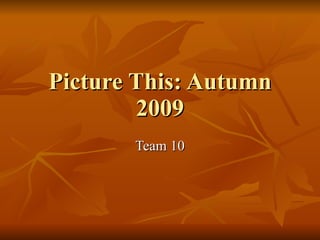 Picture This: Autumn 2009 Team 10 