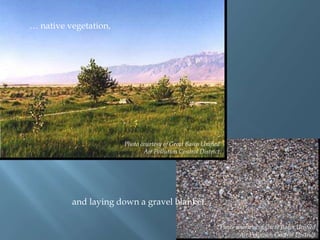 … native vegetation,

Photo courtesy of Great Basin Unified
Air Pollution Control District.

and laying down a gravel blanket.
Photo courtesy of Great Basin Unified
Air Pollution Control District.

 