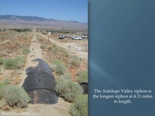 The Antelope Valley siphon is
the longest siphon at 4.11 miles
in length.
Photo by Chris Austin.

 
