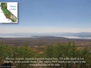 Mono
Lake

The Los Angeles Aqueduct system begins here, 338 miles north of Los
Angeles, at the remote Mono Lake, where DWP holds water rights to the
main tributaries of the lake.

Photo by Chris Austin

 