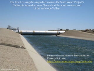 The first Los Angeles Aqueduct crosses the State Water Project‟s
California Aqueduct near Neenach at the southwestern end
of the Antelope Valley.

For more information on the State Water
Project, click here:
http://www.water.ca.gov/swp/index.cfm
Photo by Chris Austin.

 