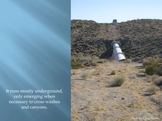 It runs mostly underground,
only emerging when
necessary to cross washes
and canyons.
Photo by Chris Austin.

 