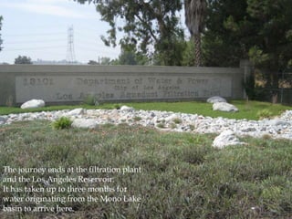The journey ends at the filtration plant
and the Los Angeles Reservoir.
It has taken up to three months for
water originating from the Mono Lake
basin to arrive here.

 