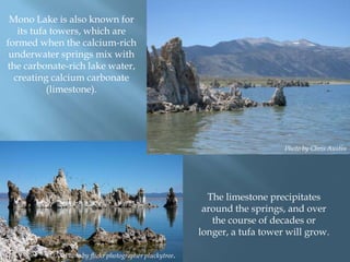 Mono Lake is also known for
its tufa towers, which are
formed when the calcium-rich
underwater springs mix with
the carbonate-rich lake water,
creating calcium carbonate
(limestone).

Photo by Chris Austin

The limestone precipitates
around the springs, and over
the course of decades or
longer, a tufa tower will grow.
Photo by flickr photographer pluckytree.

 