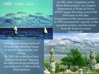 In 1941, after completion of the
Mono Basin project, Los Angeles
Department of Water & Power
(DWP) began diverting most of the
tributaries to the lake.
Completion of the second aqueduct
in 1970 increased the capacity of the
aqueduct system, and diversions
from the basin increased
dramatically.
Photo courtesy of the Mono Lake Committee

With the lake being deprived
of water, the shoreline began
to recede, exposing the tufa
towers.
By 1982, the water level had
declined by 45 feet , leaving
the tufa towers stranded and
exposing over 17,000 acres of
dried lakebed.

Photo courtesy of the Mono Lake Committee

 