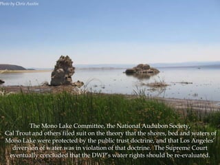 Photo by Chris Austin

The Mono Lake Committee, the National Audubon Society,
Cal Trout and others filed suit on the theory that the shores, bed and waters of
Mono Lake were protected by the public trust doctrine, and that Los Angeles‟
diversion of water was in violation of that doctrine. The Supreme Court
eventually concluded that the DWP‟s water rights should be re-evaluated.

 
