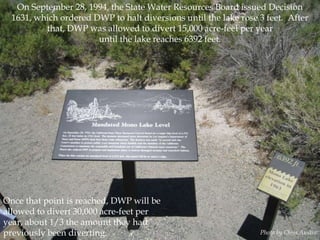 On September 28, 1994, the State Water Resources Board issued Decision
1631, which ordered DWP to halt diversions until the lake rose 3 feet. After
that, DWP was allowed to divert 15,000 acre-feet per year
until the lake reaches 6392 feet.

Once that point is reached, DWP will be
allowed to divert 30,000 acre-feet per
year, about 1/3 the amount they had
previously been diverting.

Photo by Chris Austin

 