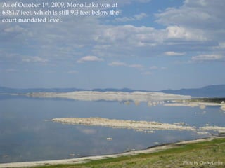 As of October 1st, 2009, Mono Lake was at
6381.7 feet, which is still 9.3 feet below the
court mandated level.

Photo by Chris Austin

 