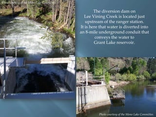 Photo courtesy of the Mono Lake Committee.

The diversion dam on
Lee Vining Creek is located just
upstream of the ranger station.
It is here that water is diverted into
an 8-mile underground conduit that
conveys the water to
Grant Lake reservoir.

Photo courtesy of the Mono Lake Committee.

 