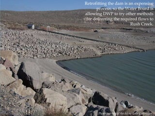 Retrofitting the dam is an expensive
process, so the Water Board is
allowing DWP to try other methods
for delivering the required flows to
Rush Creek.

Photo courtesy of the Mono Lake Committee.

 