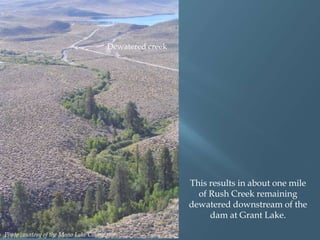 Dewatered creek

This results in about one mile
of Rush Creek remaining
dewatered downstream of the
dam at Grant Lake.
Photo courtesy of the Mono Lake Committee

 