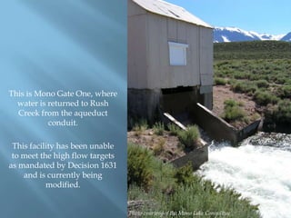 This is Mono Gate One, where
water is returned to Rush
Creek from the aqueduct
conduit.
This facility has been unable
to meet the high flow targets
as mandated by Decision 1631
and is currently being
modified.
Photo courtesy of the Mono Lake Committee

 