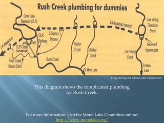 Diagram by the Mono Lake Committee.

This diagram shows the complicated plumbing
for Rush Creek.

For more information, visit the Mono Lake Committee online:
http://www.monolake.org/

 