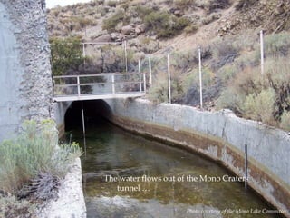 The water flows out of the Mono Craters
tunnel …
Photo courtesy of the Mono Lake Committee

 