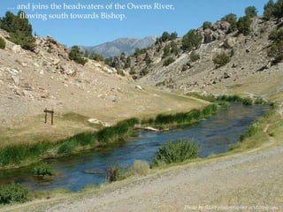 … and joins the headwaters of the Owens River,
flowing south towards Bishop.

Photo by flickr photographer acidwashtofu.

 