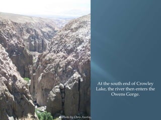 At the south end of Crowley
Lake, the river then enters the
Owens Gorge.

Photo by Aquafornia.

Photo by Chris Austin.

 