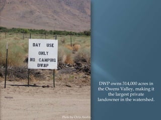 DWP owns 314,000 acres in
the Owens Valley, making it
the largest private
landowner in the watershed.

Photo by Chris Austin.

 