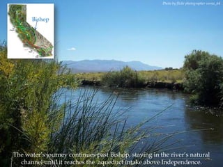 Photo by flickr photographer verno_64

Bishop

The water‟s journey continues past Bishop, staying in the river‟s natural
channel until it reaches the aqueduct intake above Independence.

 