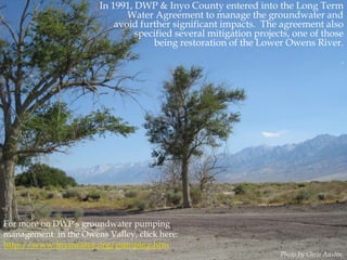 In 1991, DWP & Inyo County entered into the Long Term
Water Agreement to manage the groundwater and
avoid further significant impacts. The agreement also
specified several mitigation projects, one of those
being restoration of the Lower Owens River.
.

For more on DWP‟s groundwater pumping
management in the Owens Valley, click here:
http://www.inyowater.org/pumping.htm
Photo by Chris Austin.

 