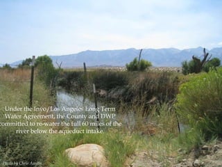 Under the Inyo/Los Angeles Long Term
Water Agreement, the County and DWP
committed to re-water the full 60 miles of the
river below the aqueduct intake.

Photo by Chris Austin.

 