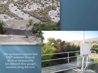 Photo courtesy of Inyo County Water Department.

The agreement requires that
DWP maintain flows of
40 cfs as measured by
ten different flow gauges
installed along the river.
Photo by Chris Austin.

 