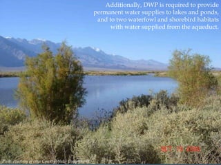 Additionally, DWP is required to provide
permanent water supplies to lakes and ponds,
and to two waterfowl and shorebird habitats
with water supplied from the aqueduct.

Photo courtesy of Inyo County Water Department.

 