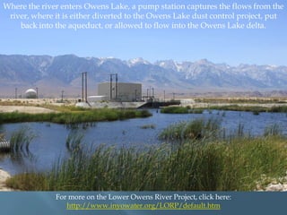 Where the river enters Owens Lake, a pump station captures the flows from the
river, where it is either diverted to the Owens Lake dust control project, put
back into the aqueduct, or allowed to flow into the Owens Lake delta.

For more on the Lower Owens River Project, click here:
http://www.inyowater.org/LORP/default.htm

 